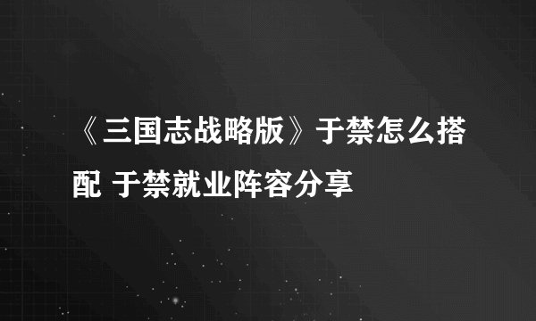 《三国志战略版》于禁怎么搭配 于禁就业阵容分享