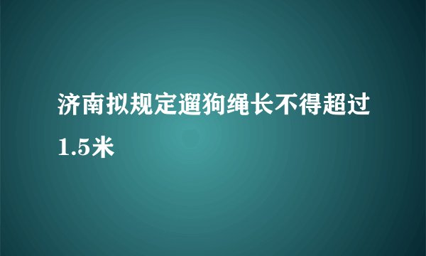 济南拟规定遛狗绳长不得超过1.5米