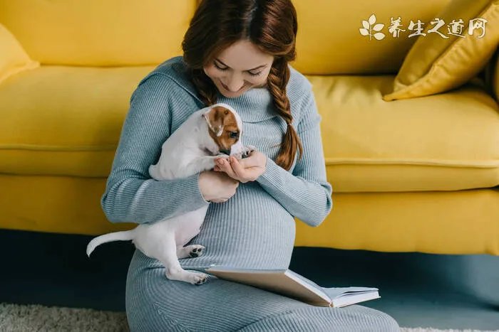 古牧的价格、2020年古代牧羊犬多少钱一只?