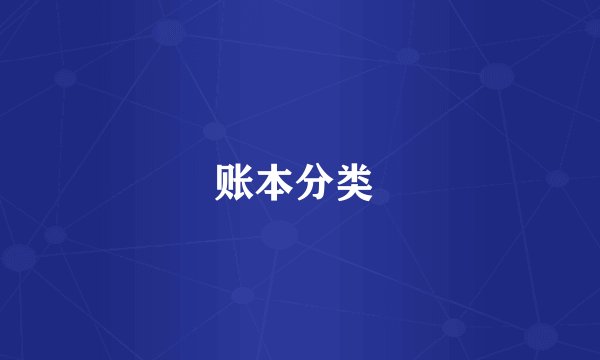 账本分类 