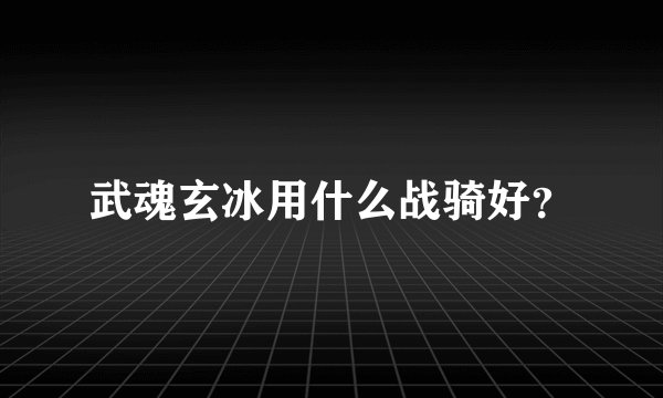 武魂玄冰用什么战骑好？