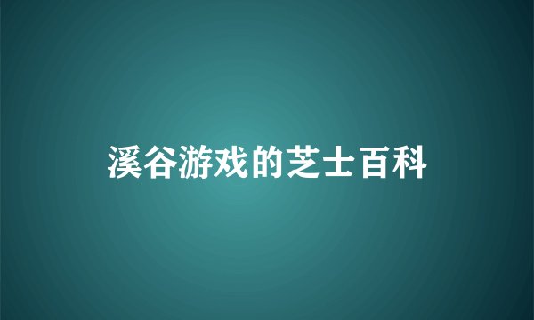 溪谷游戏的芝士百科