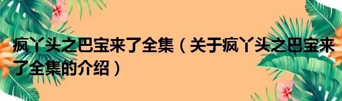 疯丫头之巴宝来了全集(关于疯丫头之巴宝来了全集的介绍)