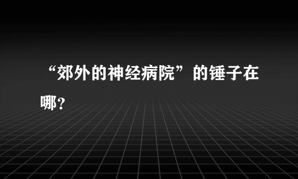 “郊外的神经病院”的锤子在哪?