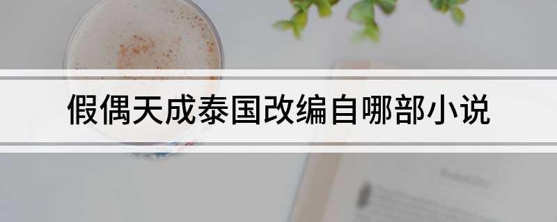 假偶天成泰国改编自哪部小说