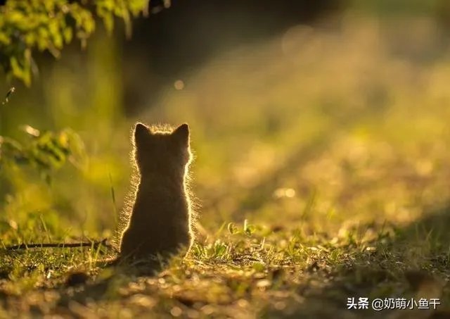如何做好写字楼租赁及销售?广宣渠道有哪些?