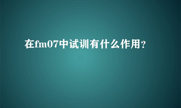 在fm07中试训有什么作用?
