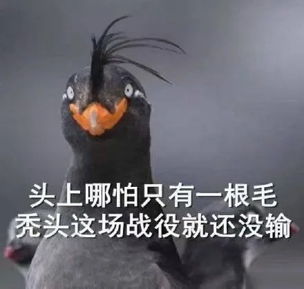 太秃然了!中国脱发人群超2.5亿 让我看看你们的秃头