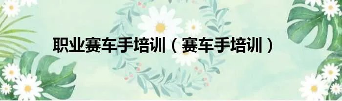 职业赛车手培训（赛车手培训）