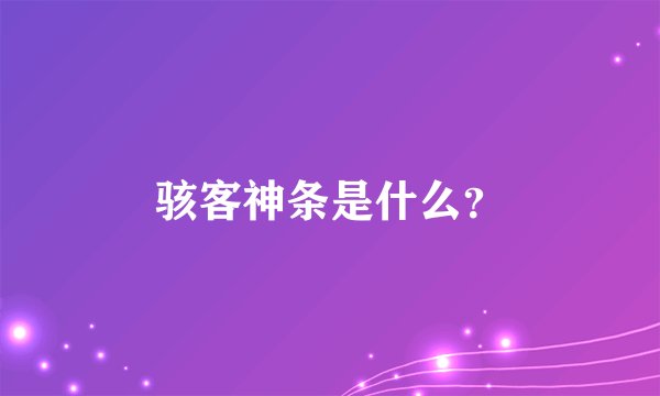 骇客神条是什么？