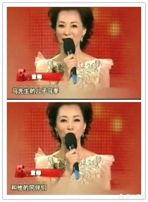 有哪些主持人在大型晚会上出现过失误?