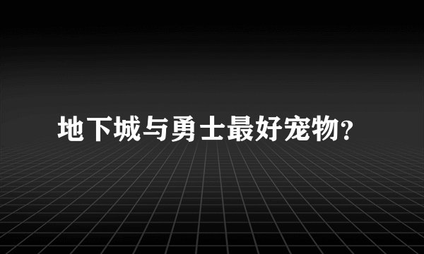 地下城与勇士最好宠物？