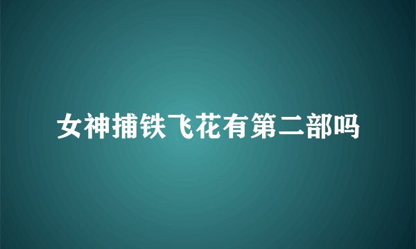 女神捕铁飞花有第二部吗