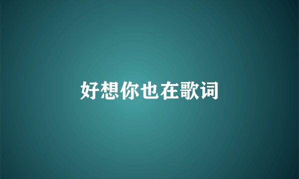 好想你也在歌词