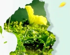 广源良菜瓜水好用吗?广源良菜瓜水怎么用