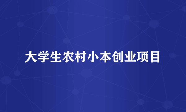 大学生农村小本创业项目