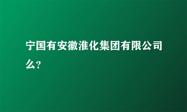 宁国有安徽淮化集团有限公司么？
