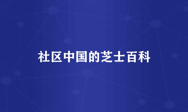 社区中国的芝士百科