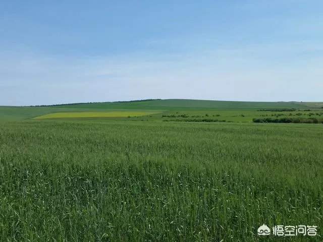 为什么呼伦贝尔只有两个月的旅游旺季，和别的月份有什么区别？