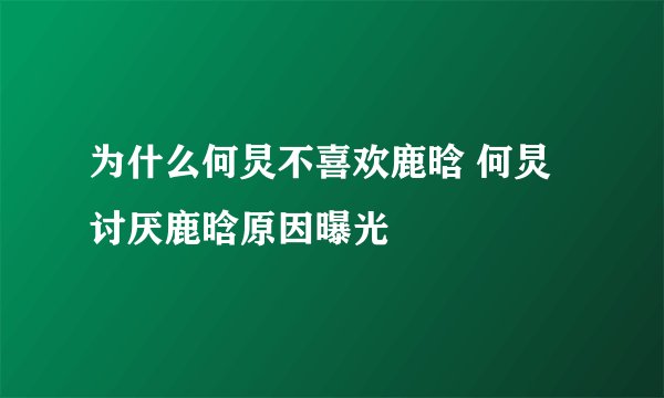 为什么何炅不喜欢鹿晗 何炅讨厌鹿晗原因曝光