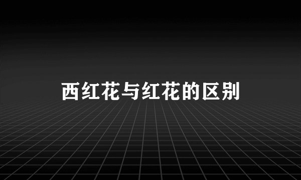 西红花与红花的区别