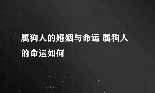 属狗人的婚姻与命运 属狗人的命运如何