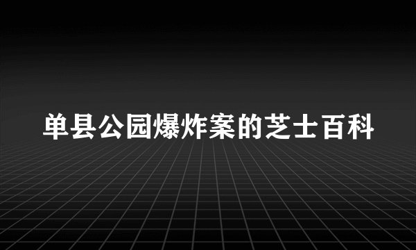 单县公园爆炸案的芝士百科
