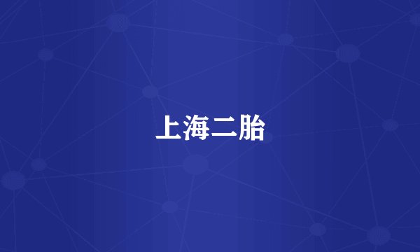 上海二胎