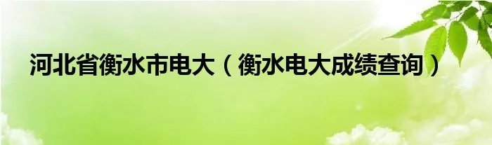 河北省衡水市电大(衡水电大成绩查询)