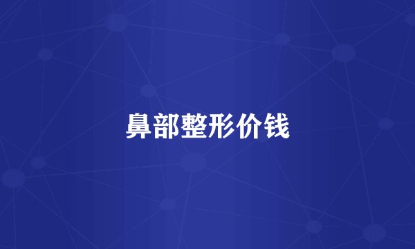 鼻部整形价钱