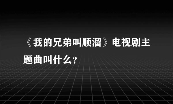《我的兄弟叫顺溜》电视剧主题曲叫什么?