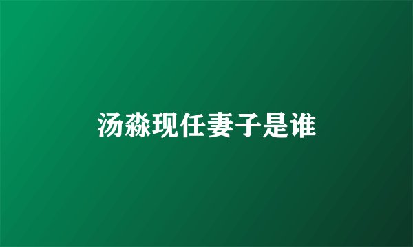 汤淼现任妻子是谁