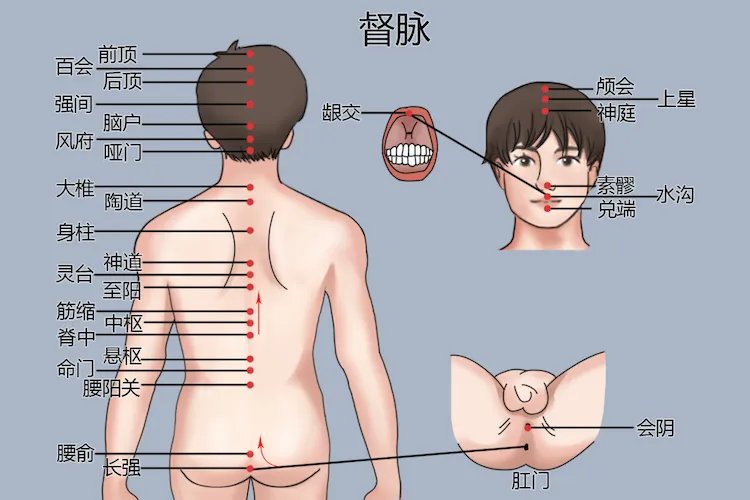 人体颈部经络图