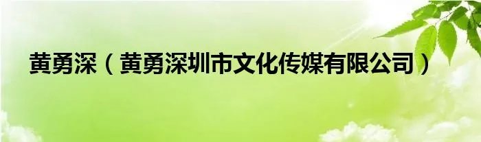黄勇深(黄勇深圳市文化传媒有限公司)