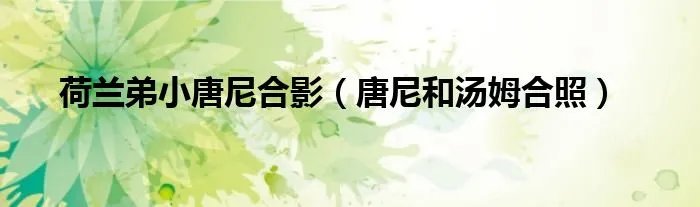 荷兰弟小唐尼合影（唐尼和汤姆合照）