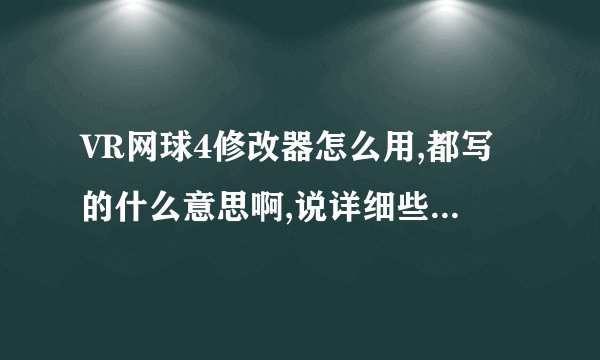 VR网球4修改器怎么用,都写的什么意思啊,说详细些,谢谢!