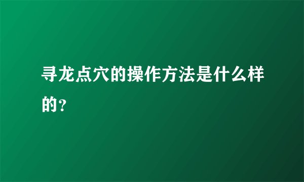 寻龙点穴的操作方法是什么样的？
