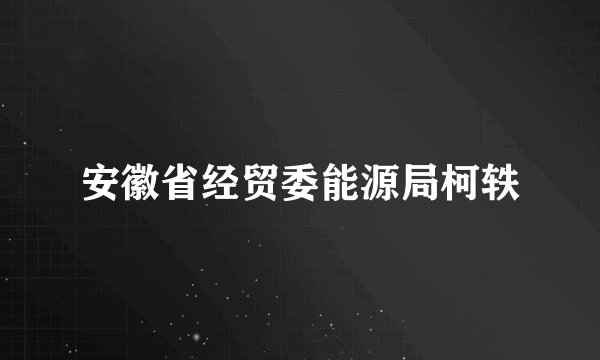 安徽省经贸委能源局柯轶