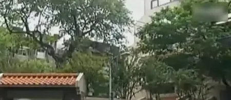 曝光:琼瑶阿姨5亿7层独栋庭院豪华别墅