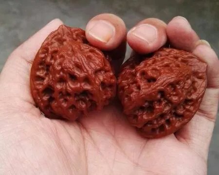 如何挑选文玩核桃?