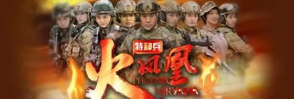 特种兵之火凤凰主要演的什么剧情？