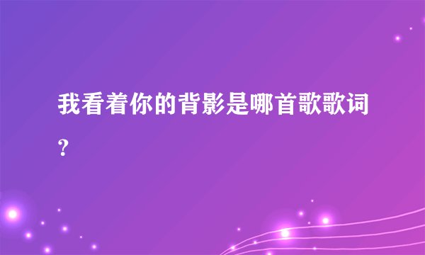 我看着你的背影是哪首歌歌词?