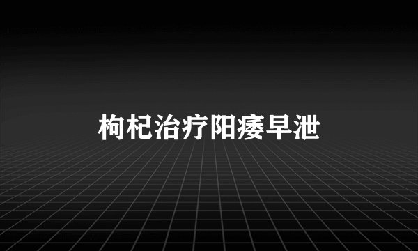 枸杞治疗阳痿早泄