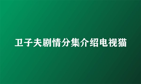 卫子夫剧情分集介绍电视猫