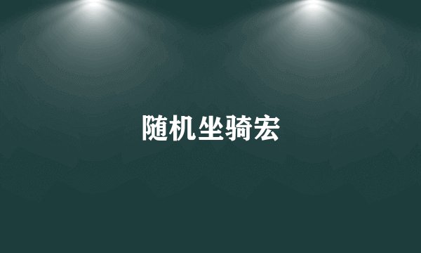 随机坐骑宏