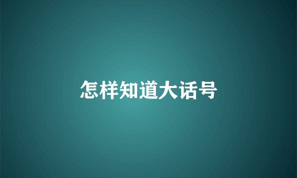 怎样知道大话号