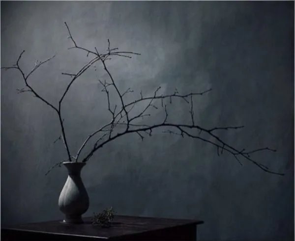 心中无一物,何处惹尘埃.请问这是什么意思?
