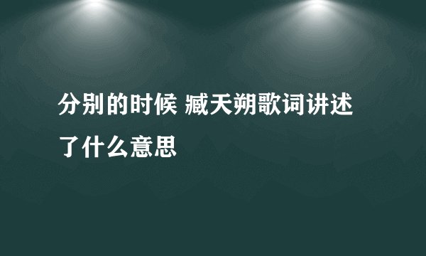分别的时候 臧天朔歌词讲述了什么意思