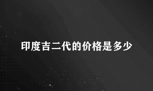印度吉二代的价格是多少