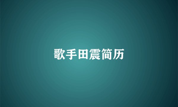 歌手田震简历